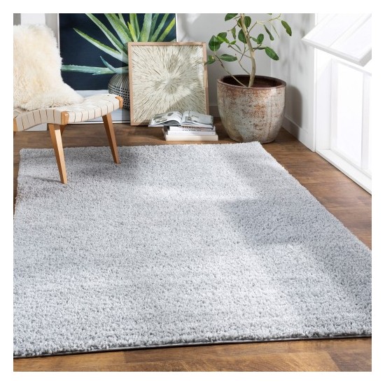 Surya Deluxe Shag DXS-2302 2' x 3' Rug