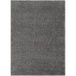 Surya Deluxe Shag DXS-2303 2' x 3' Rug