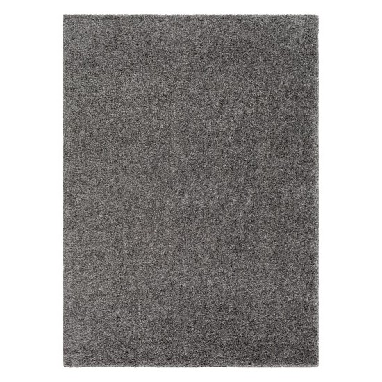 Surya Deluxe Shag DXS-2303 2' x 3' Rug