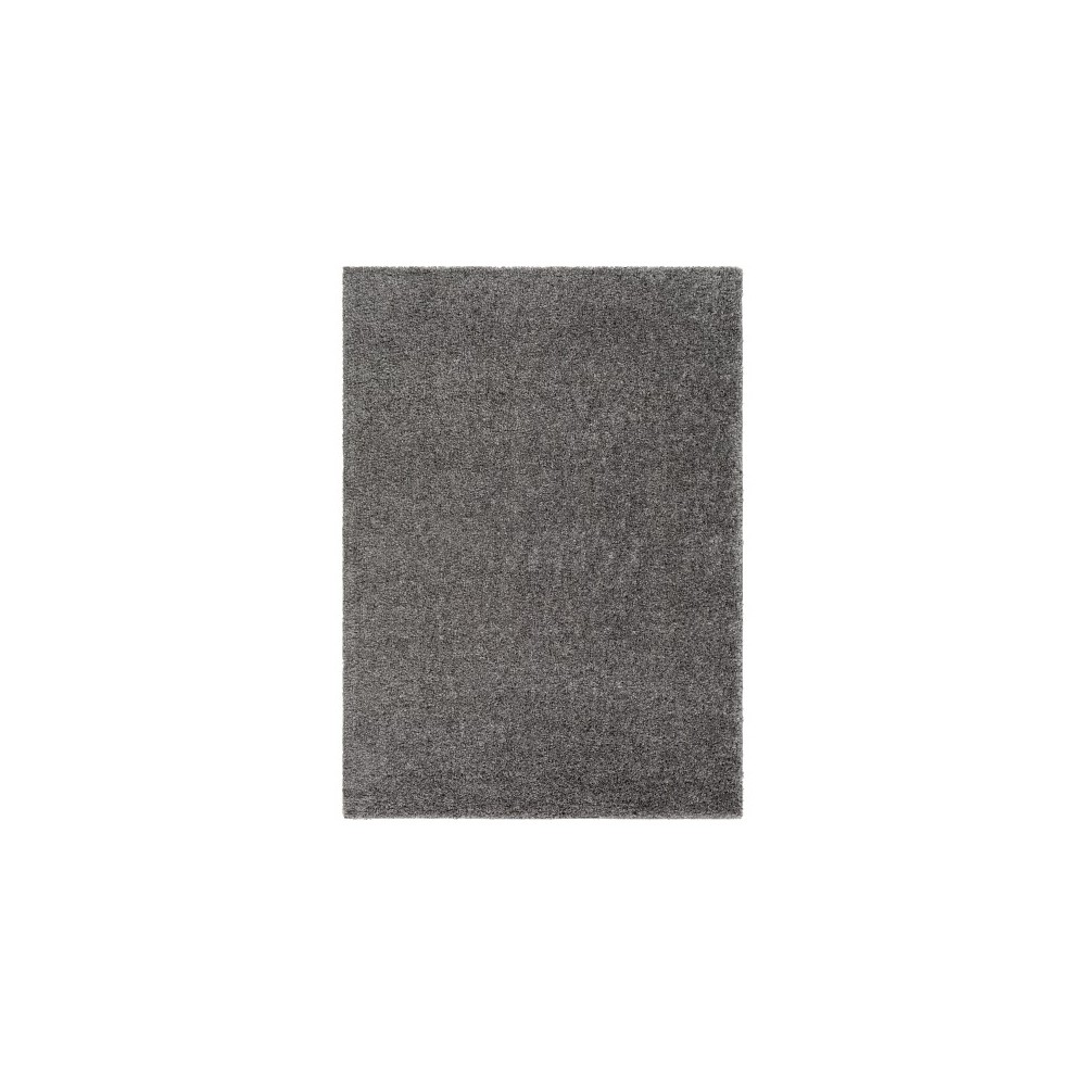 Surya Deluxe Shag DXS-2303 2' x 3' Rug