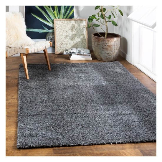 Surya Deluxe Shag DXS-2303 2' x 3' Rug