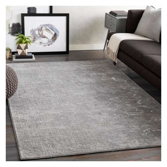 Surya Florence FRO-2302 2' x 2'11" Rug