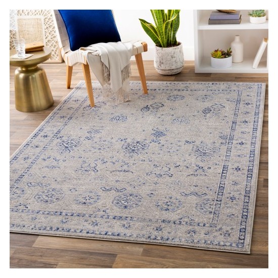 Surya Indigo IGO-2301 2' x 2'11" Rug