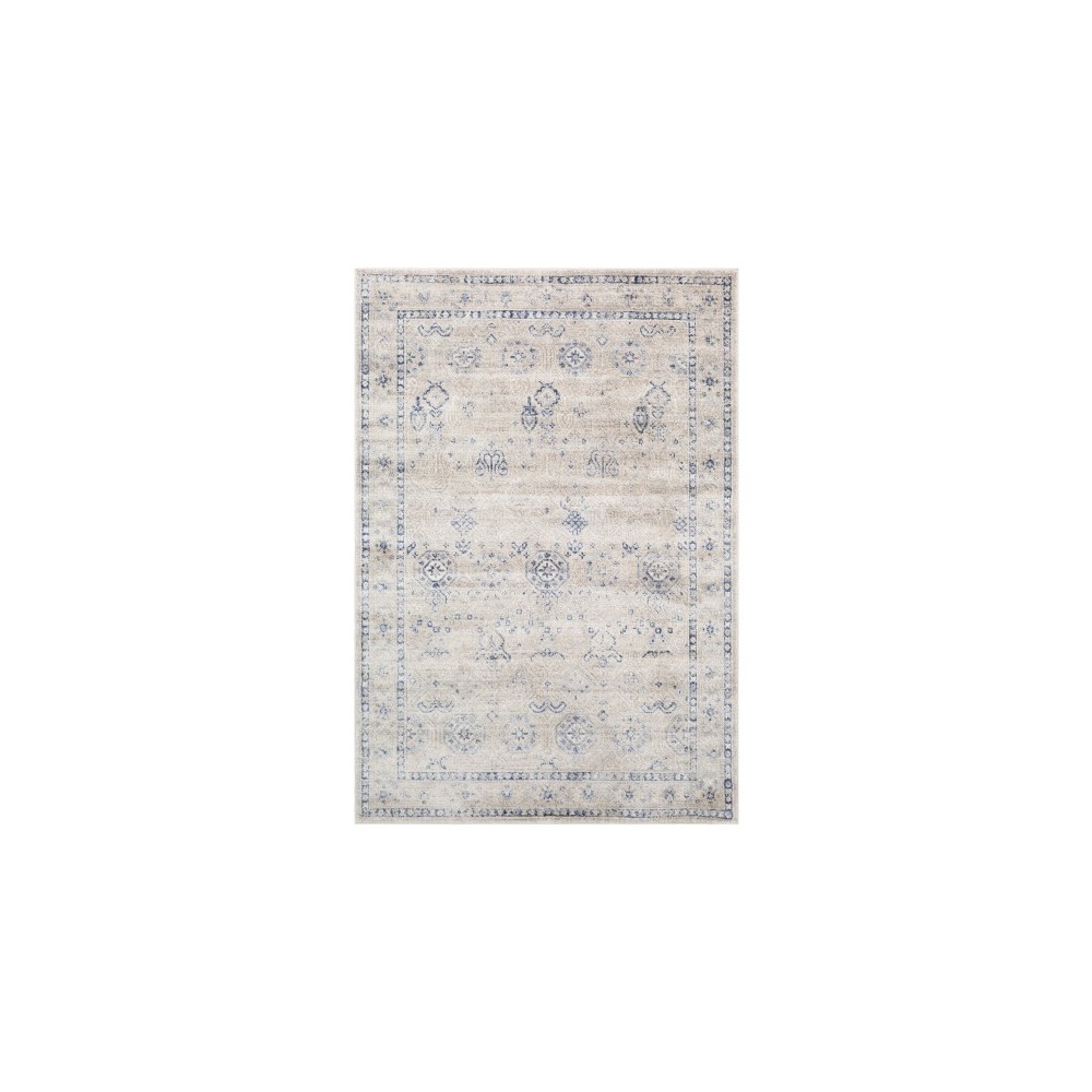 Surya Indigo IGO-2301 6'7" x 9' Rug