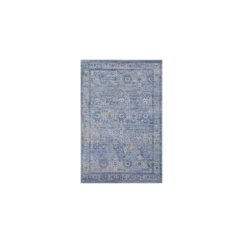 Surya Indigo IGO-2302 6'7" x 9' Rug