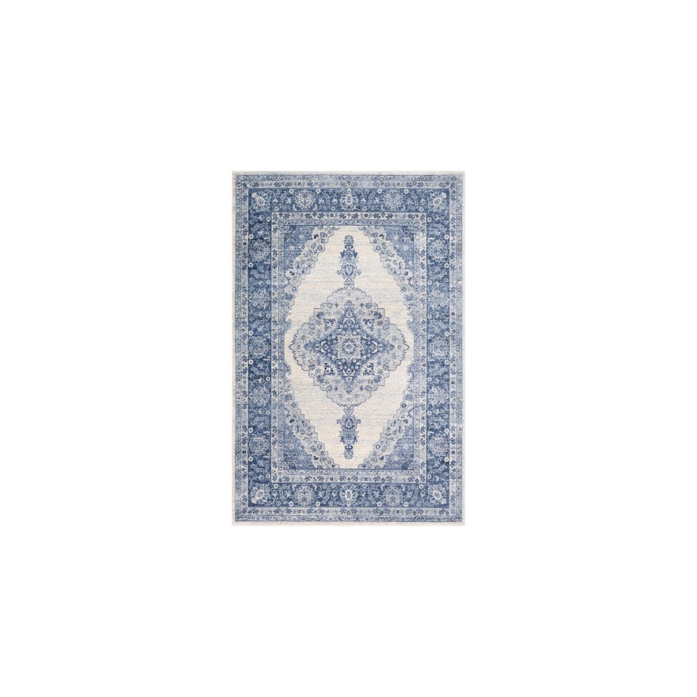 Surya Indigo IGO-2305 2' x 2'11" Rug