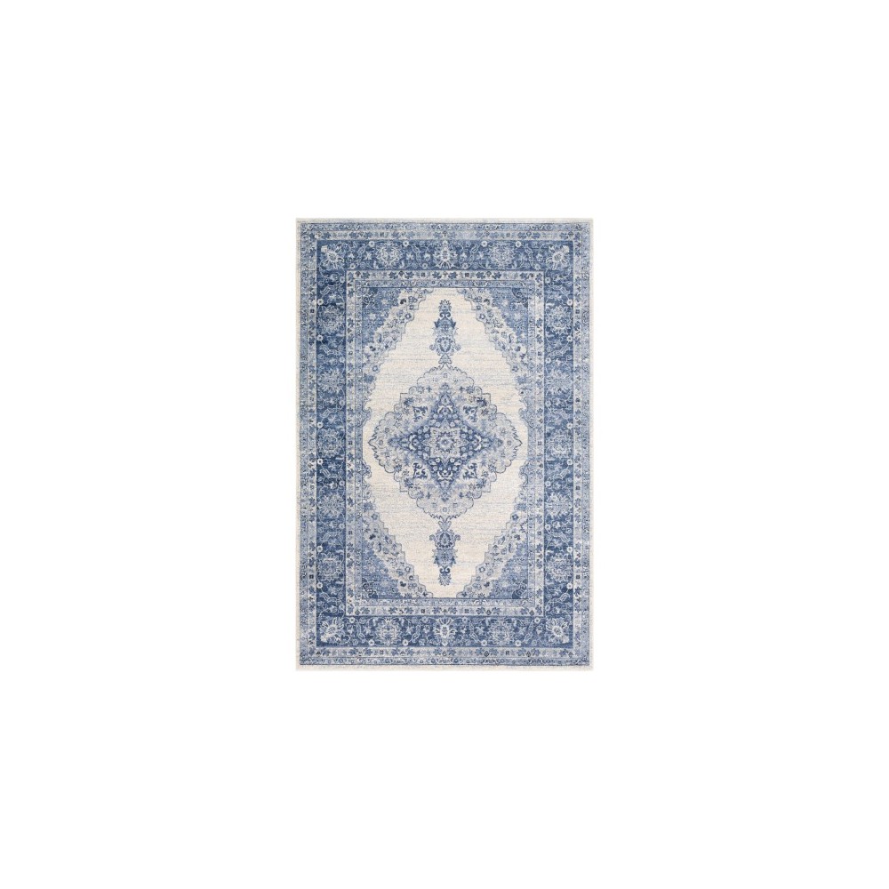 Surya Indigo IGO-2305 9' x 12'4" Rug Surya Indigo IGO-2305 9' x 12'4" Rug