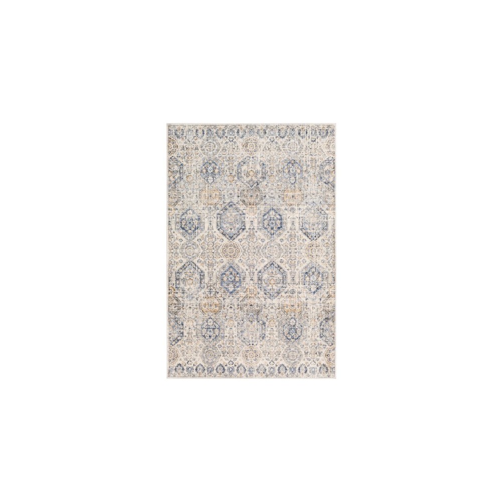 Surya Indigo IGO-2308 2' x 2'11" Rug