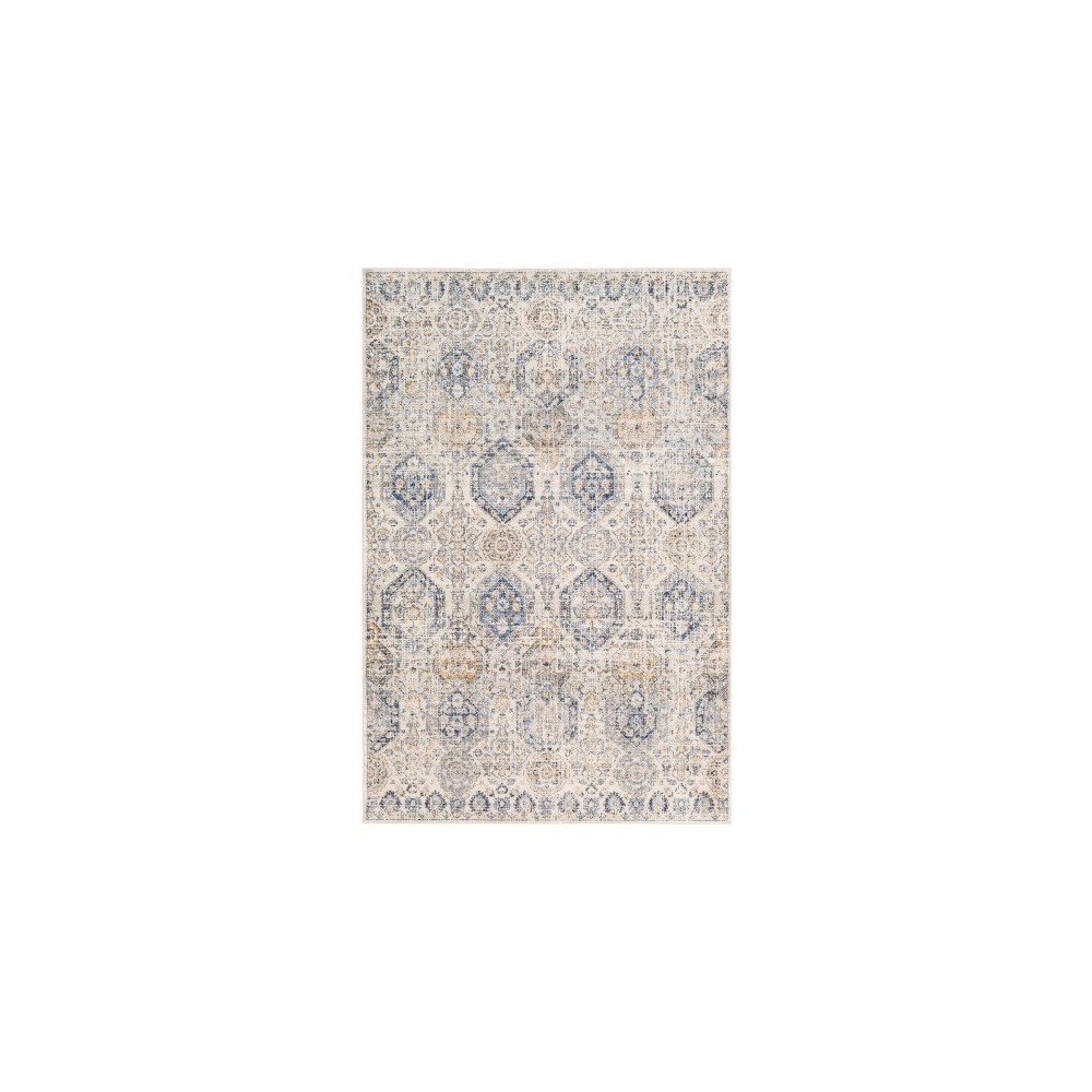Surya Indigo IGO-2308 7'10" x 10'2" Rug Surya Indigo IGO-2308 7'10" x 10'2" Rug