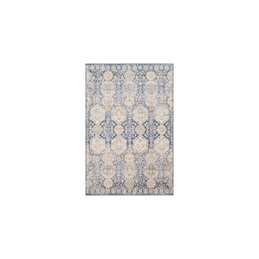 Surya Indigo IGO-2309 2' x 2'11" Rug