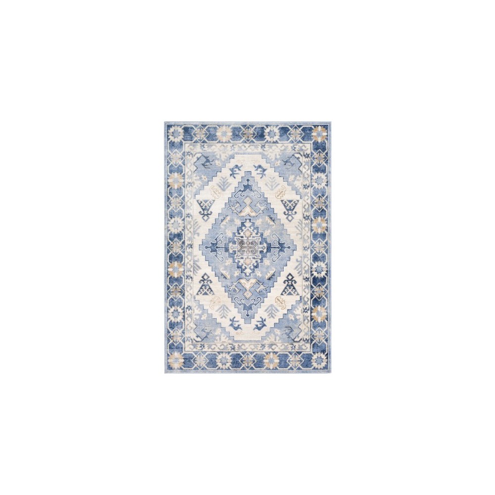 Surya Indigo IGO-2310 2' x 2'11" Rug