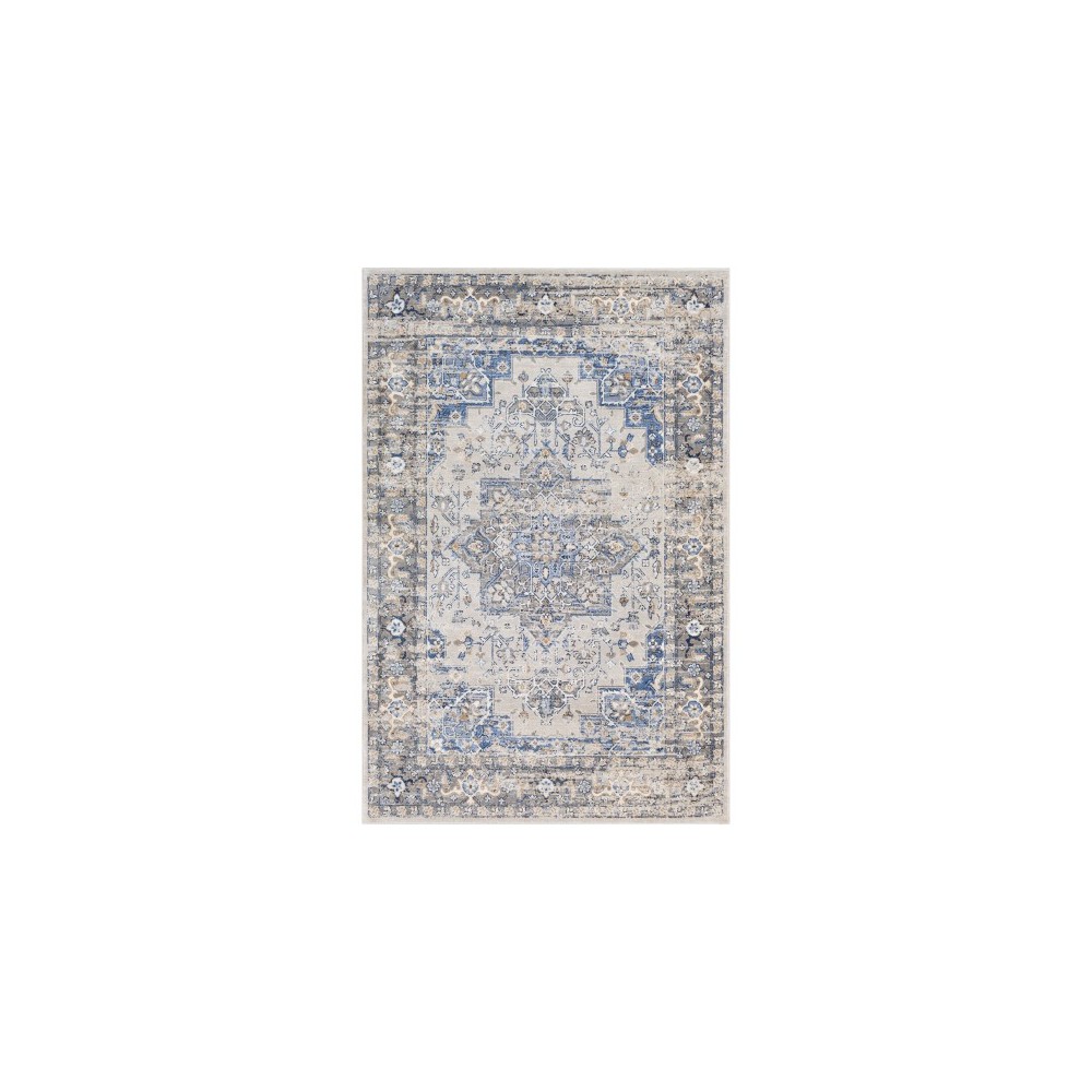 Surya Indigo IGO-2312 2' x 2'11" Rug Surya Indigo IGO-2312 2' x 2'11" Rug