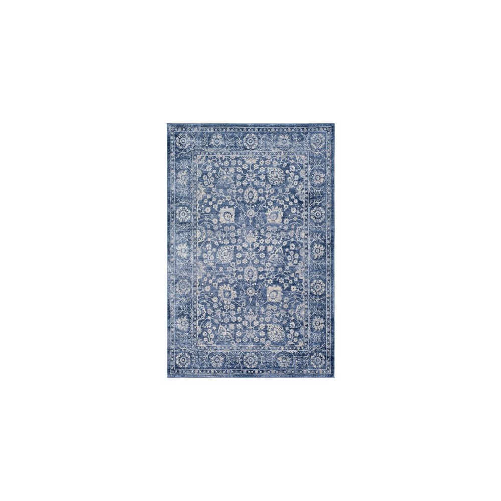 Surya Indigo IGO-2314 2' x 2'11" Rug