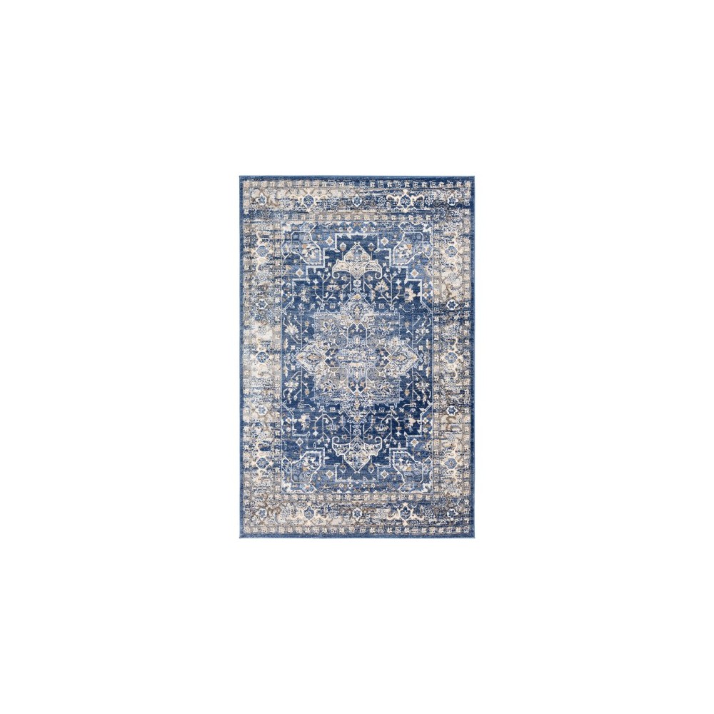 Surya Indigo IGO-2315 6'7" x 9' Rug