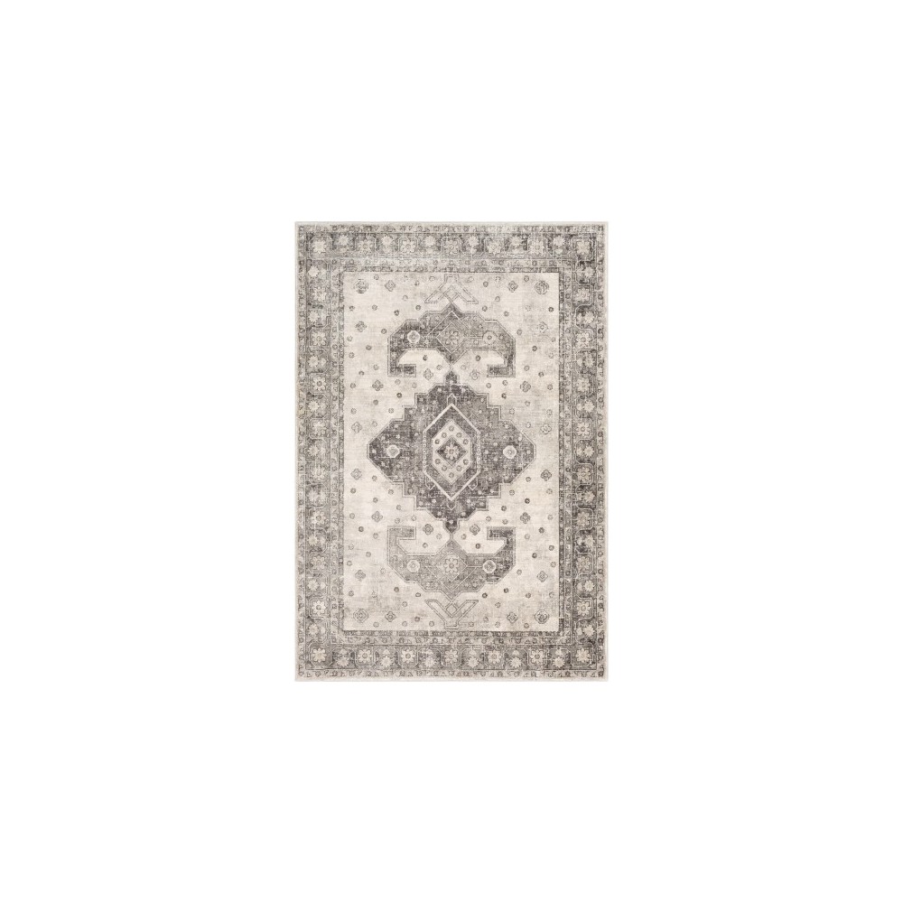 Surya Indigo IGO-2322 2' x 2'11" Rug