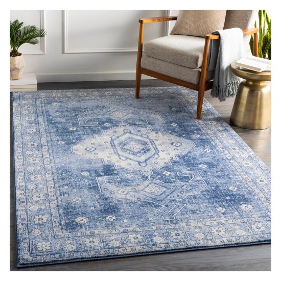 Surya Indigo IGO-2323 2' x 2'11" Rug