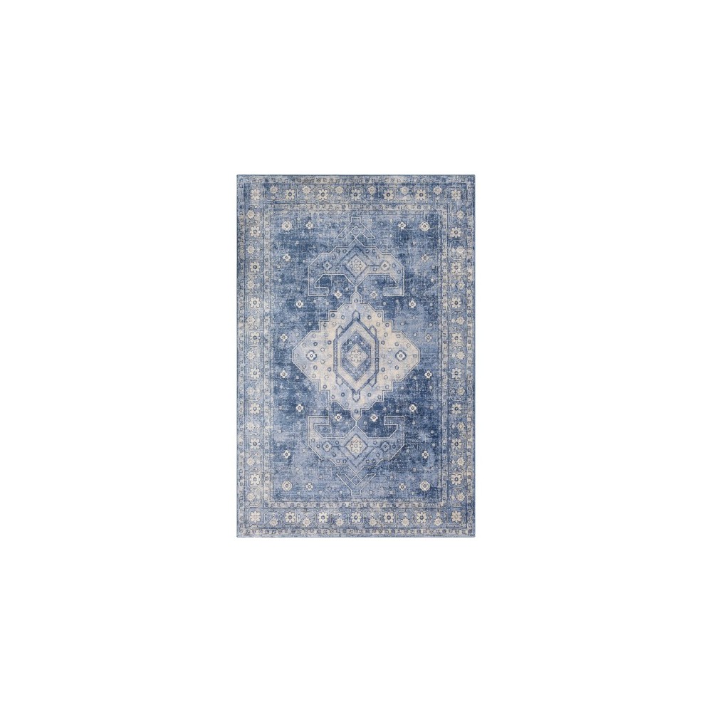 Surya Indigo IGO-2323 5'3" x 7'3" Rug Surya Indigo IGO-2323 5'3" x 7'3" Rug