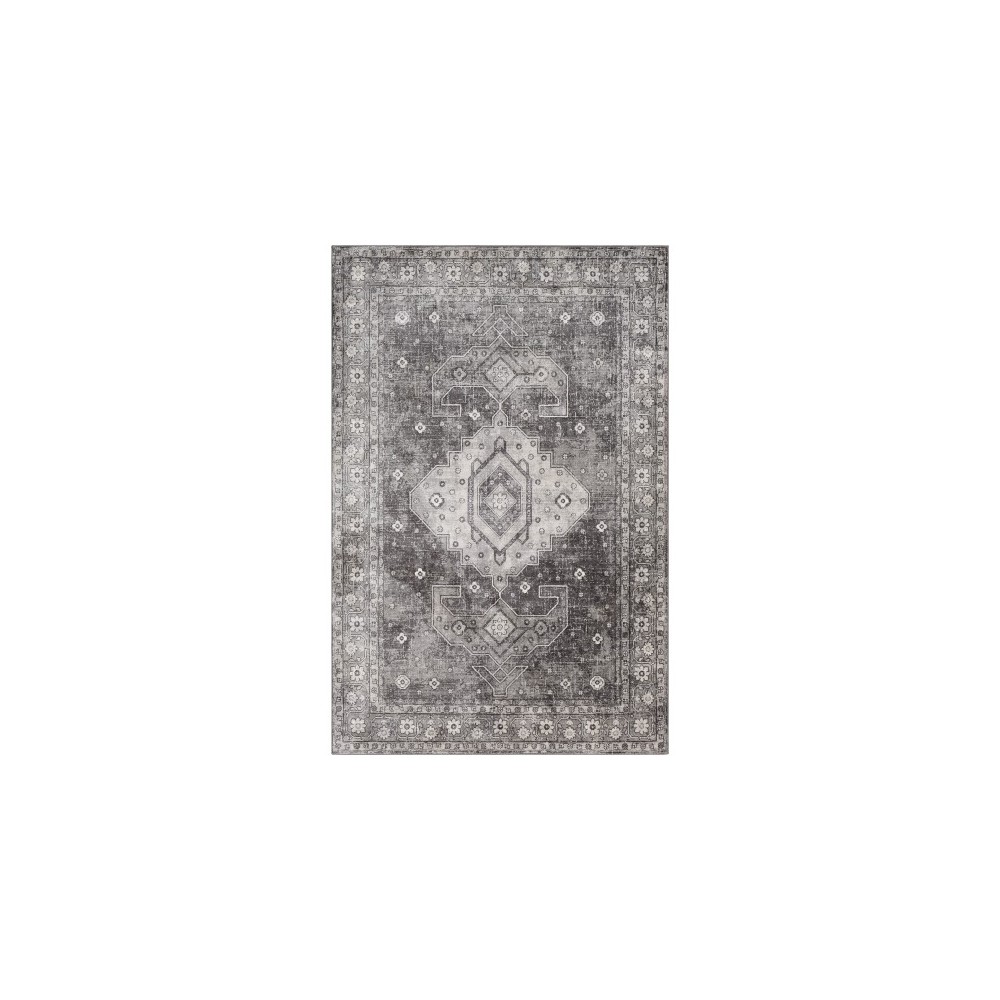 Surya Indigo IGO-2324 9' x 12'4" Rug