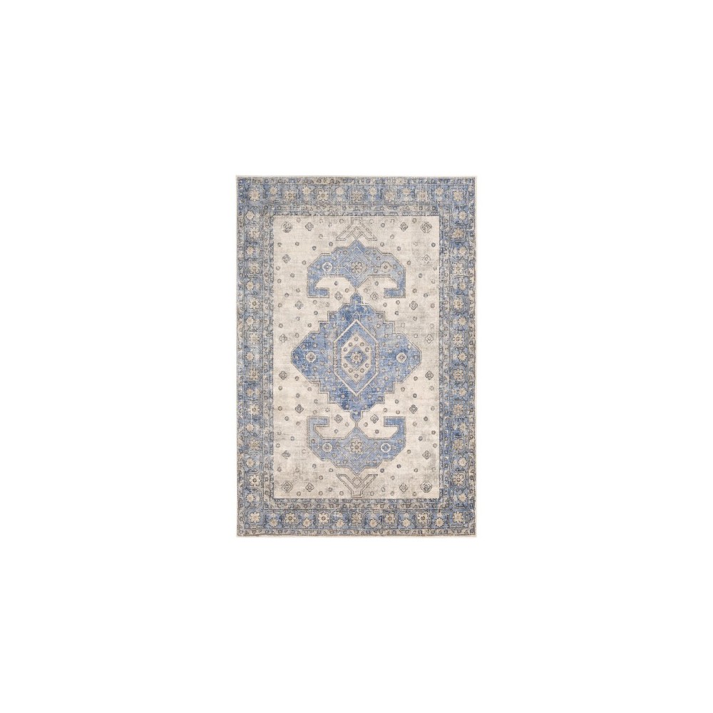 Surya Indigo IGO-2325 4'3" x 5'7" Rug