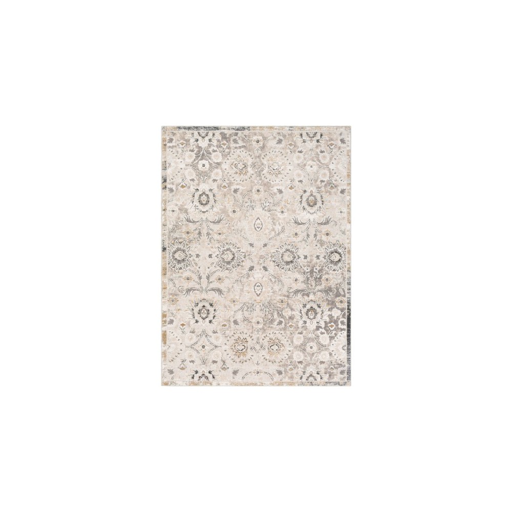 Surya Quatro QUA-2312 5'3" x 7'3" Rug