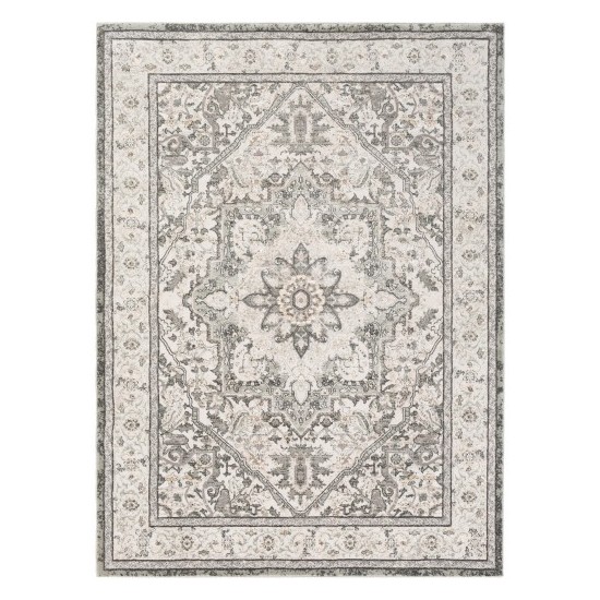 Surya Quatro QUA-2315 5'3" x 7'3" Rug