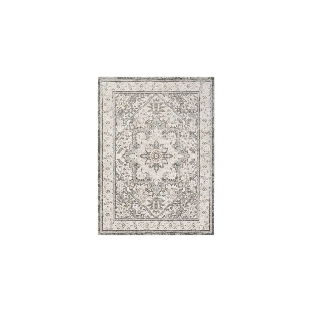 Surya Quatro QUA-2315 5'3" x 7'3" Rug