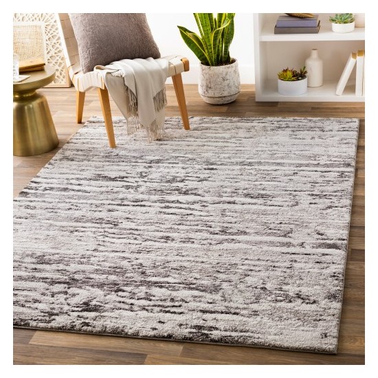 Surya Venice VNE-2301 2' x 3' Rug