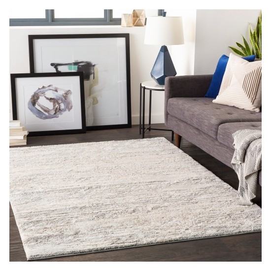 Surya Venice VNE-2302 2' x 3' Rug