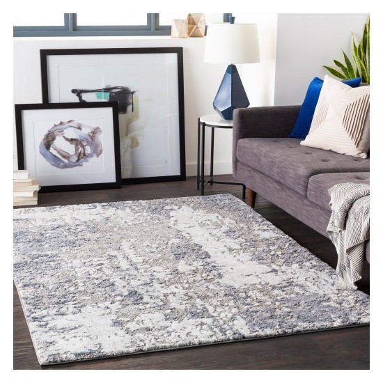 Surya Venice VNE-2304 2' x 3' Rug