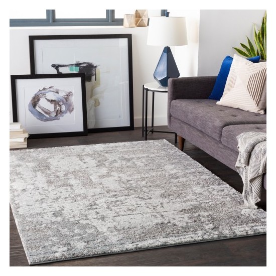 Surya Venice VNE-2305 2' x 3' Rug