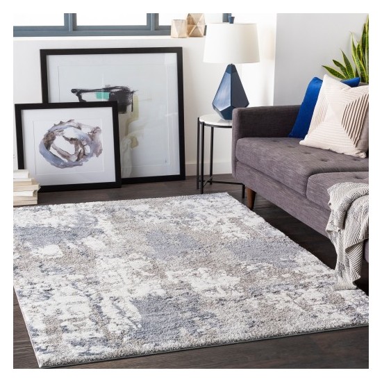 Surya Venice VNE-2306 2' x 3' Rug