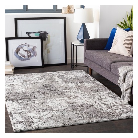 Surya Venice VNE-2308 2' x 3' Rug