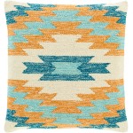 Surya Anika ANI-002 20" x 20" Pillow Cover
