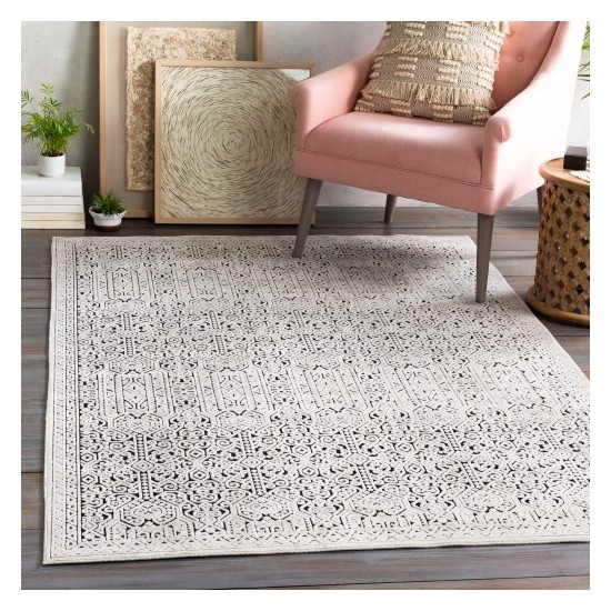 Surya Dantel DTL-2302 2' x 2'11" Rug