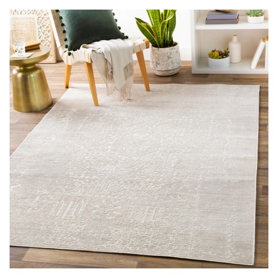 Surya Dantel DTL-2319 2' x 2'11" Rug