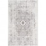 Surya Dantel DTL-2320 2' x 2'11" Rug