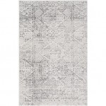 Surya Dantel DTL-2321 6'7" x 9' Rug