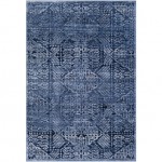 Surya Dantel DTL-2322 6'7" x 9' Rug