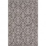 Surya Dantel DTL-2323 7'10" x 10'2" Rug