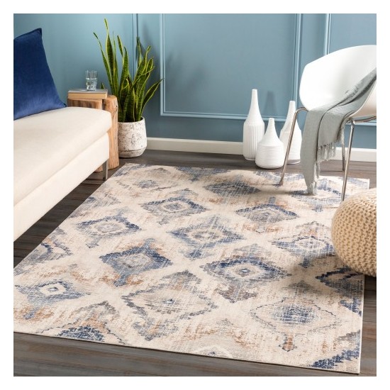 Surya Dublin DUB-2310 2' x 3'2" Rug