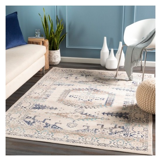 Surya Dublin DUB-2311 2' x 3'2" Rug