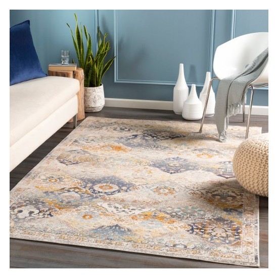 Surya Dublin DUB-2313 2' x 3'2" Rug