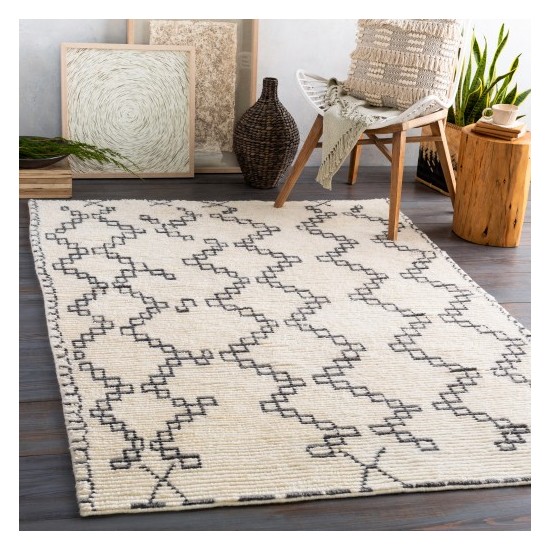 Surya Beni Ourain BON-2301 2' x 3' Rug