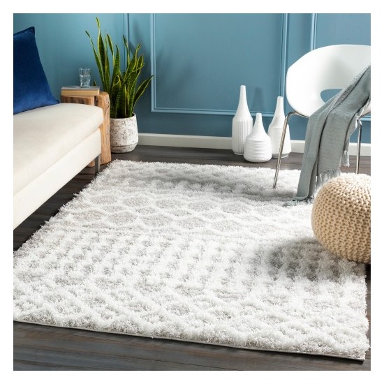 Surya Urban Shag USG-2310 2' x 2'11" Rug