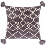 Surya Braith BRH-003 22" x 22" Pillow Cover