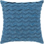 Surya Caprio CPR-002 18" x 18" Pillow Cover