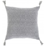 Surya Madagascar MGS-003 22" x 22" Pillow Cover