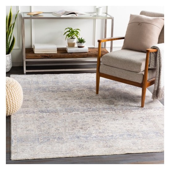 Surya Palazzo PZL-2302 2' x 3'3" Rug