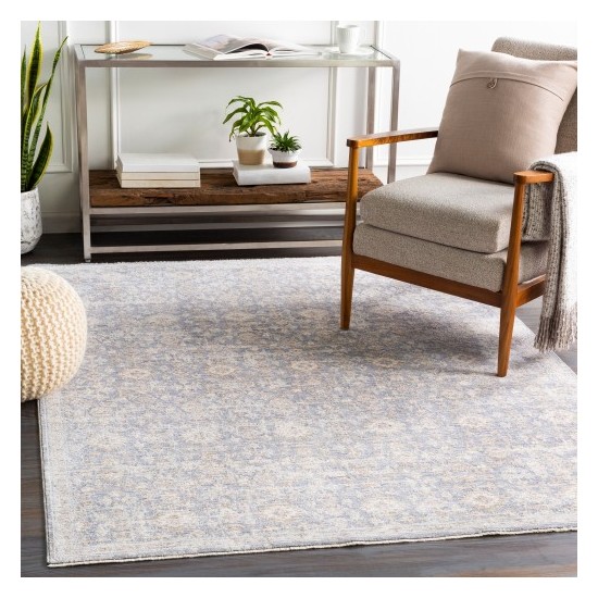 Surya Palazzo PZL-2303 2' x 3'3" Rug