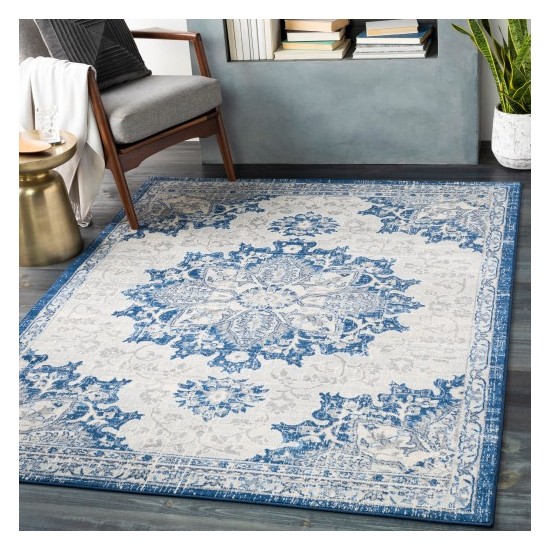 Surya Monaco MOC-2327 2' x 3' Rug